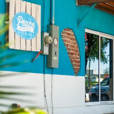 Peace Hostel Mx لاباز المظهر الخارجي الصورة