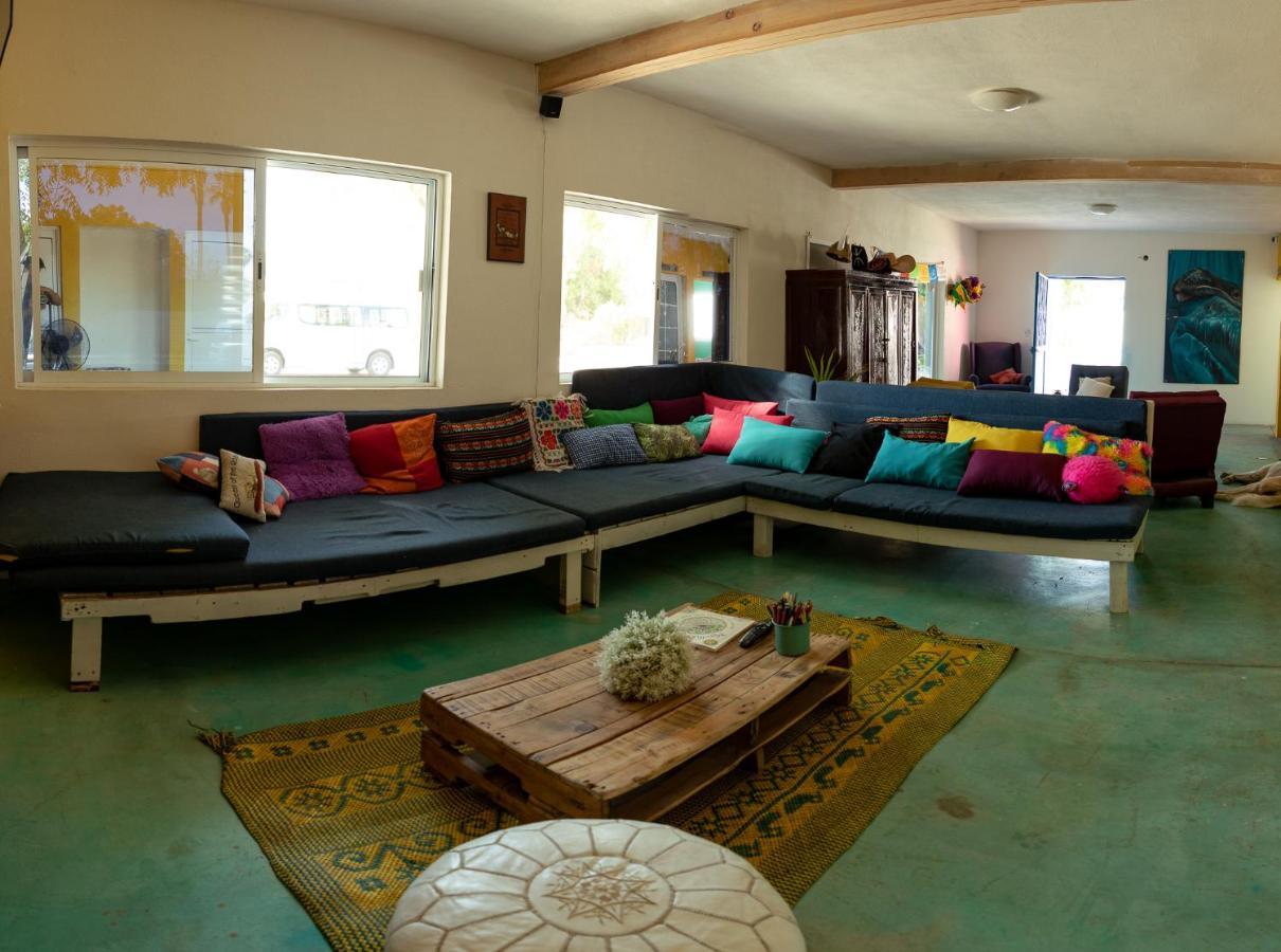 Peace Hostel Mx لاباز المظهر الخارجي الصورة