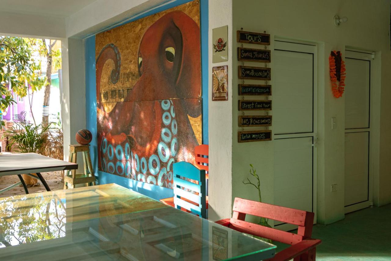 Peace Hostel Mx لاباز المظهر الخارجي الصورة