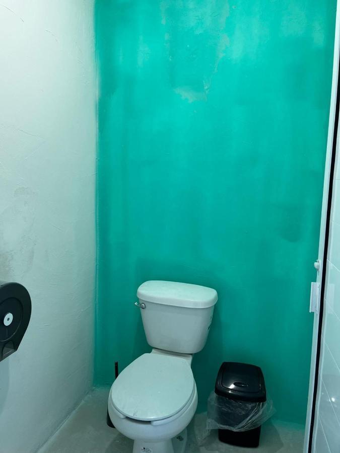 Peace Hostel Mx لاباز المظهر الخارجي الصورة