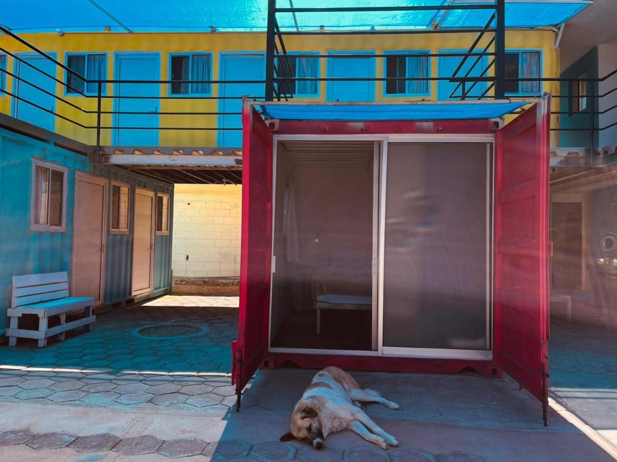 Peace Hostel Mx لاباز المظهر الخارجي الصورة