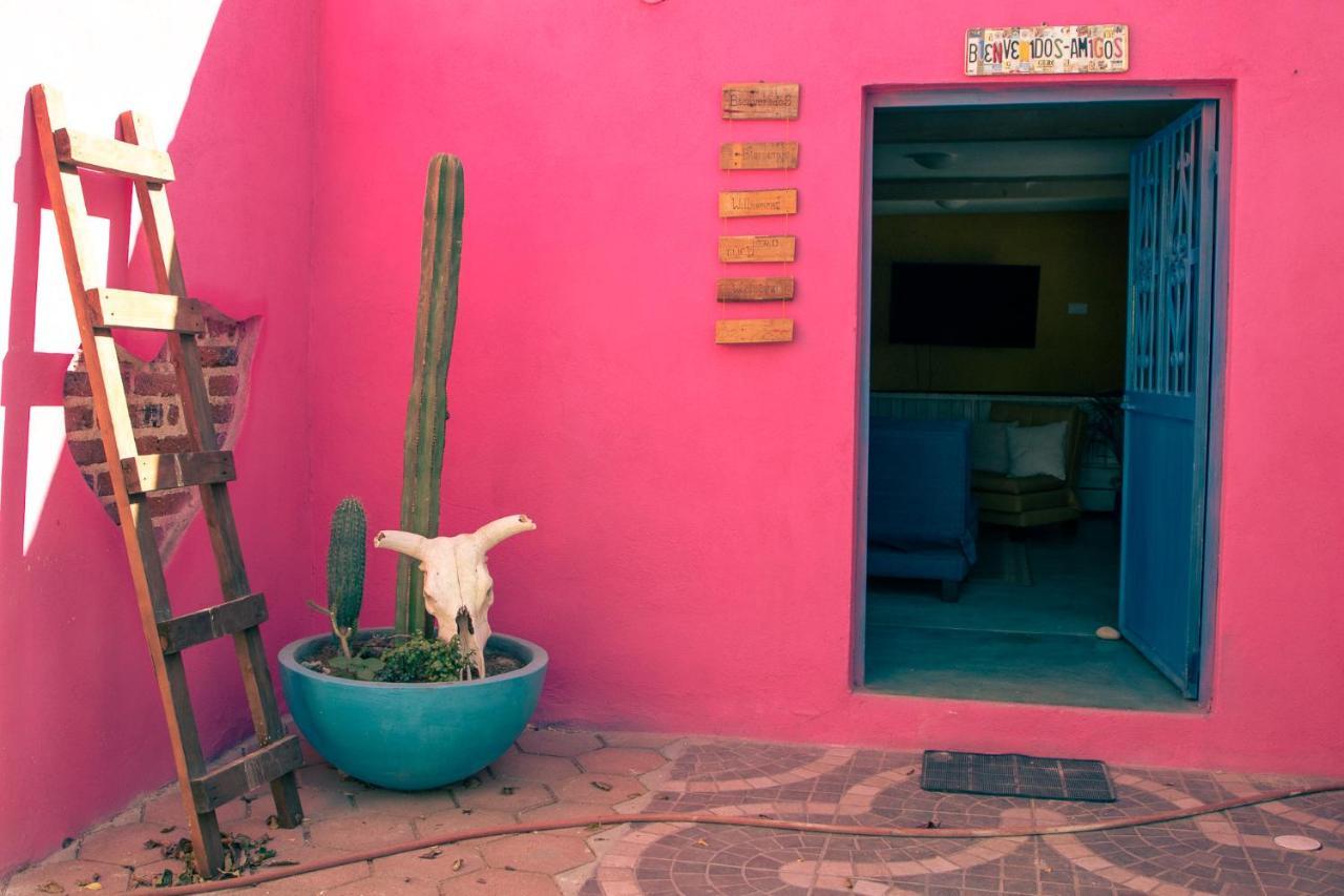 Peace Hostel Mx لاباز المظهر الخارجي الصورة