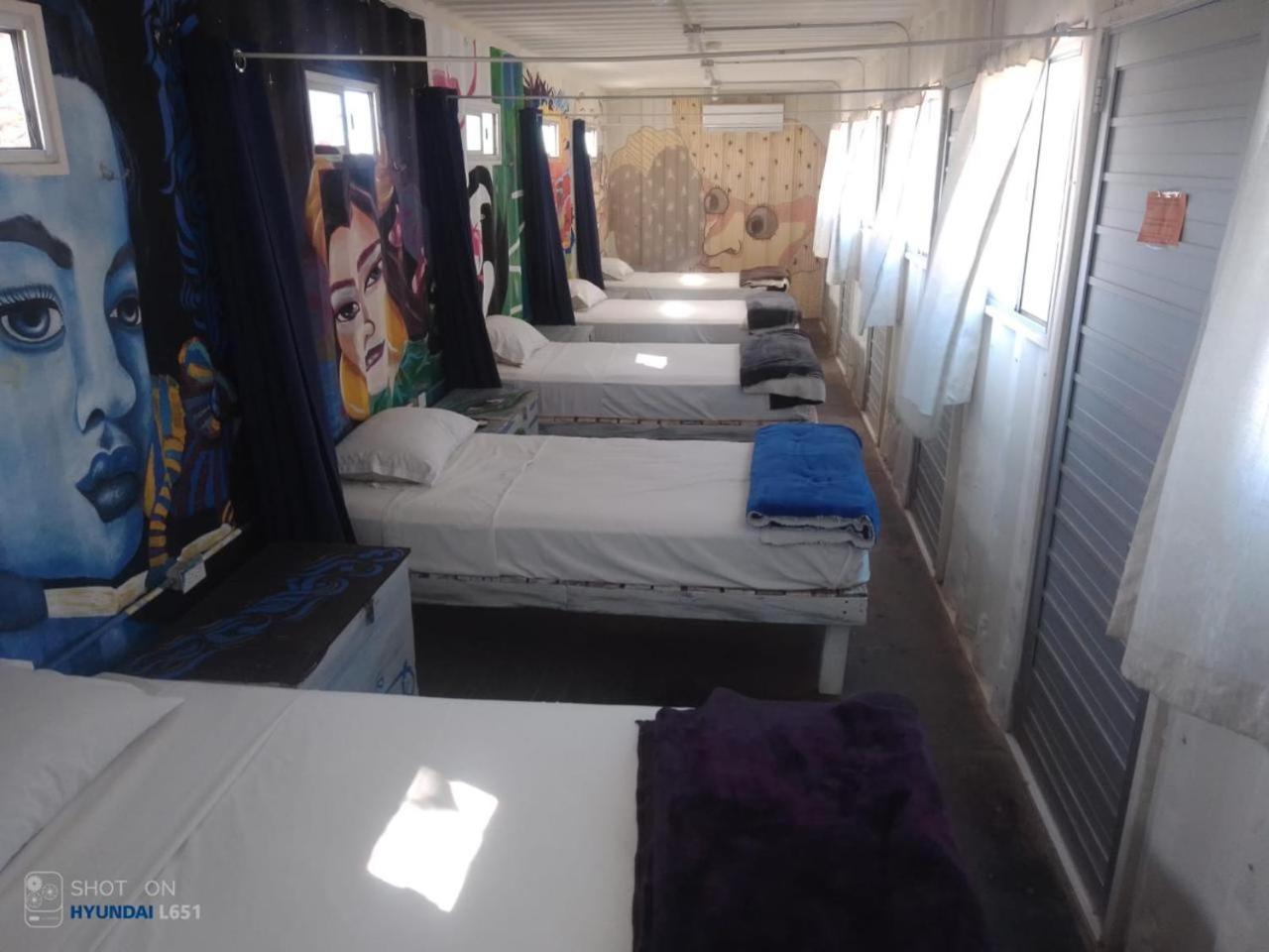 Peace Hostel Mx لاباز المظهر الخارجي الصورة