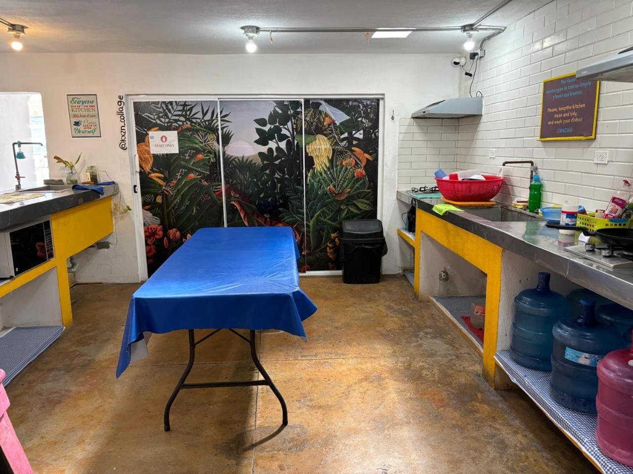 Peace Hostel Mx لاباز المظهر الخارجي الصورة