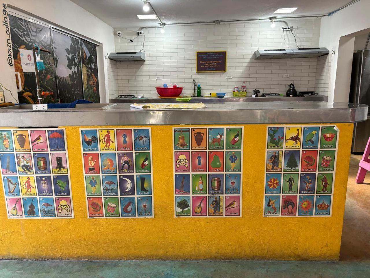 Peace Hostel Mx لاباز المظهر الخارجي الصورة