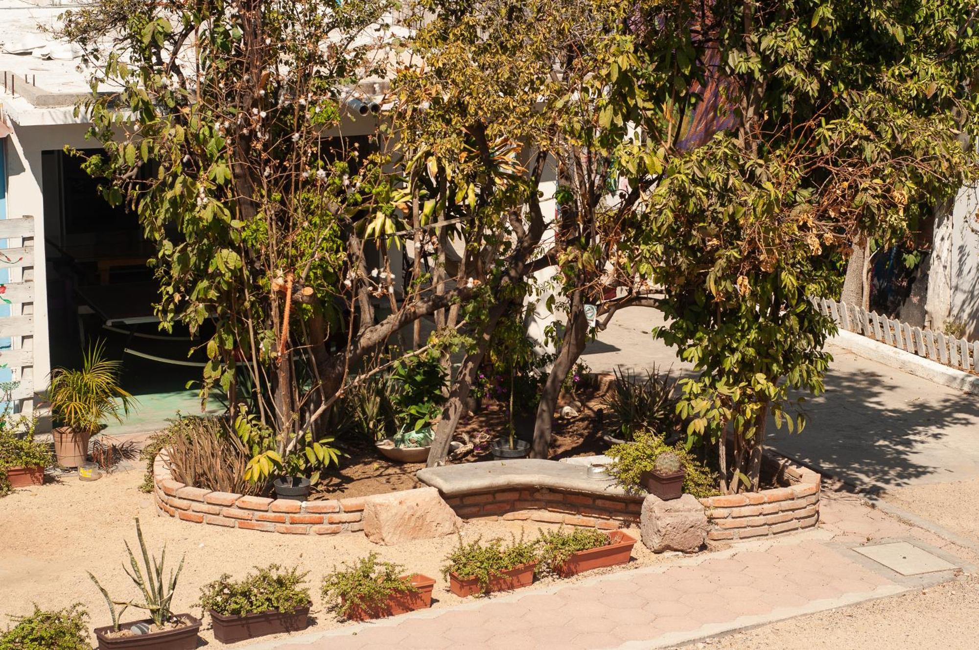 Peace Hostel Mx لاباز المظهر الخارجي الصورة