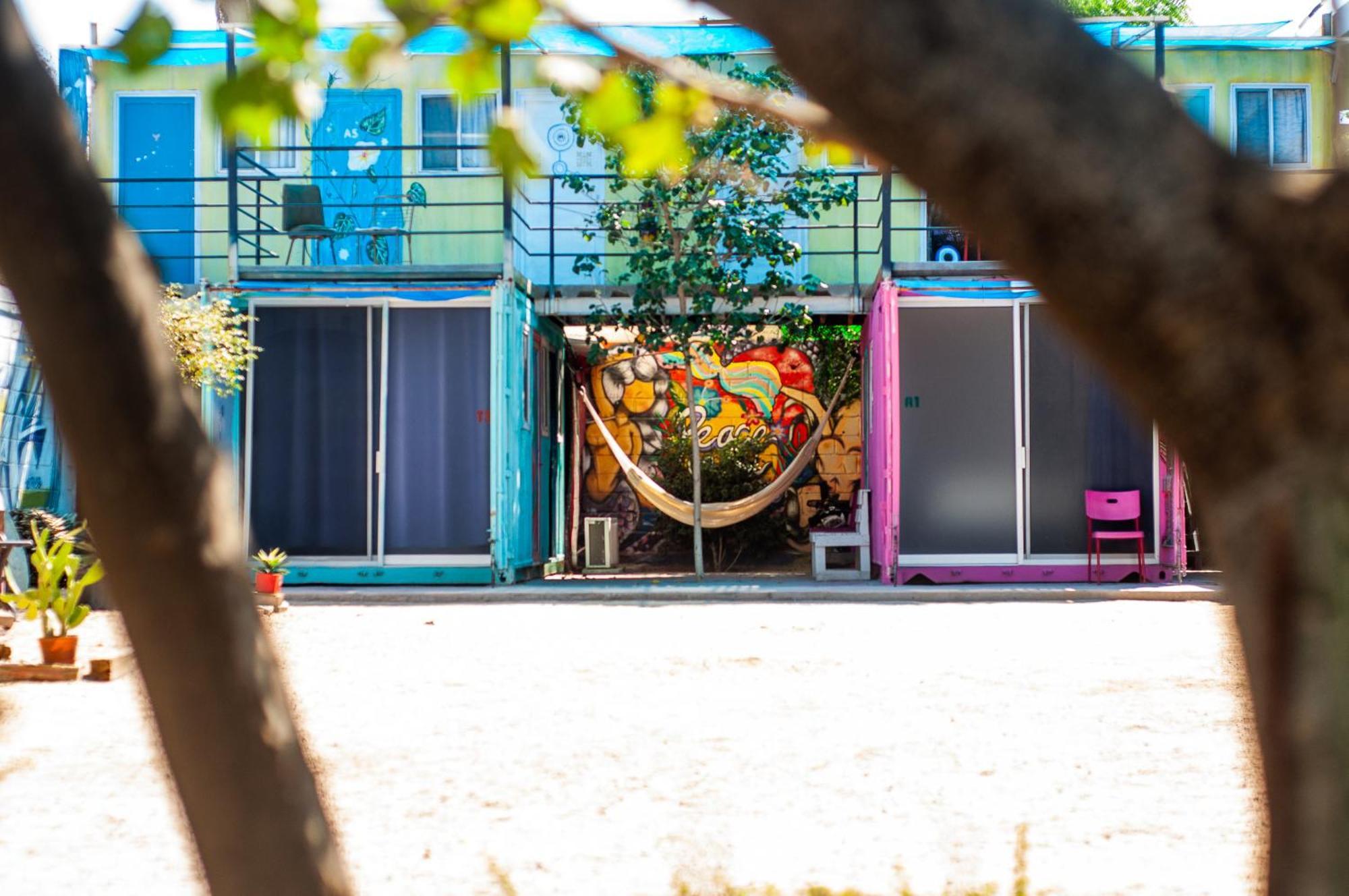 Peace Hostel Mx لاباز المظهر الخارجي الصورة